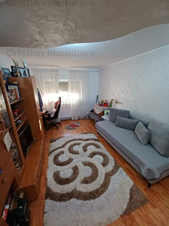 Super 2 cam conf 1 Decomandat 52 mp Radu Negru - Capatul lui