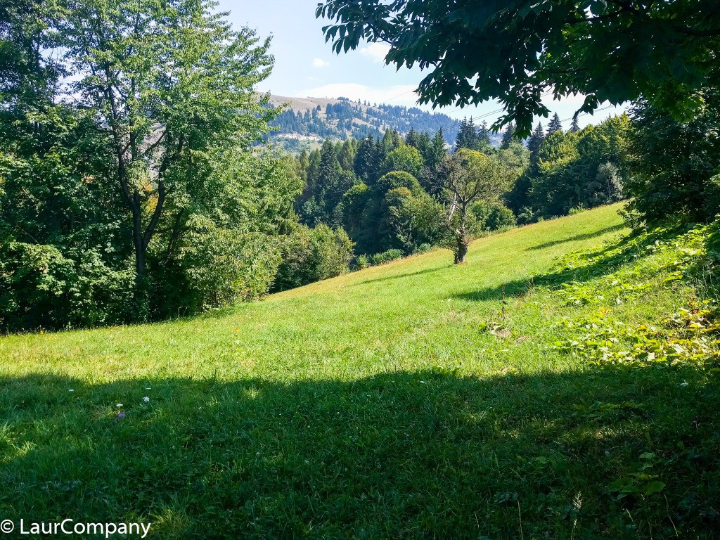 Teren Padure Dambovicioara Arges