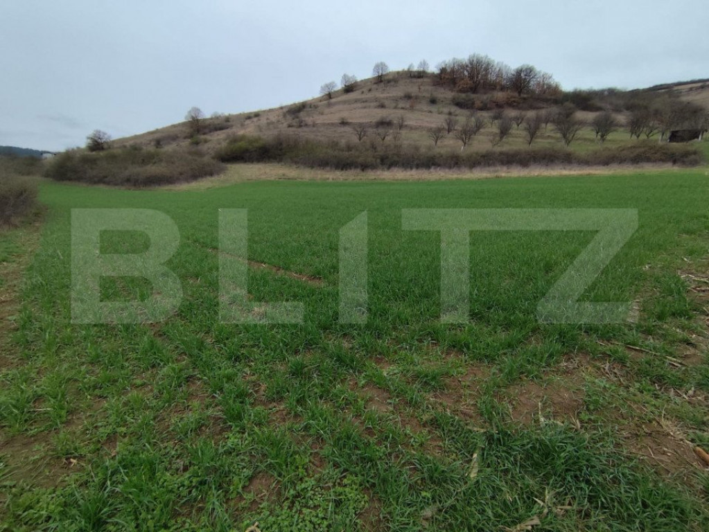 Teren extravilan, 1.200 mp, zona Parau lui Mihai