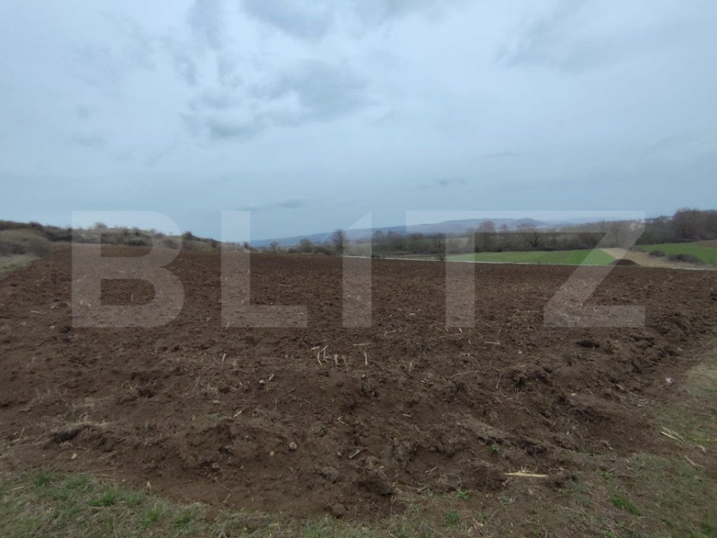 Teren extravilan, 9.700 mp, zona Parau lui Mihai