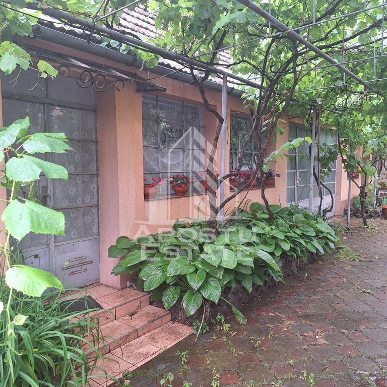 Casa individuala cu 3088 mp de teren in Remetea Mare