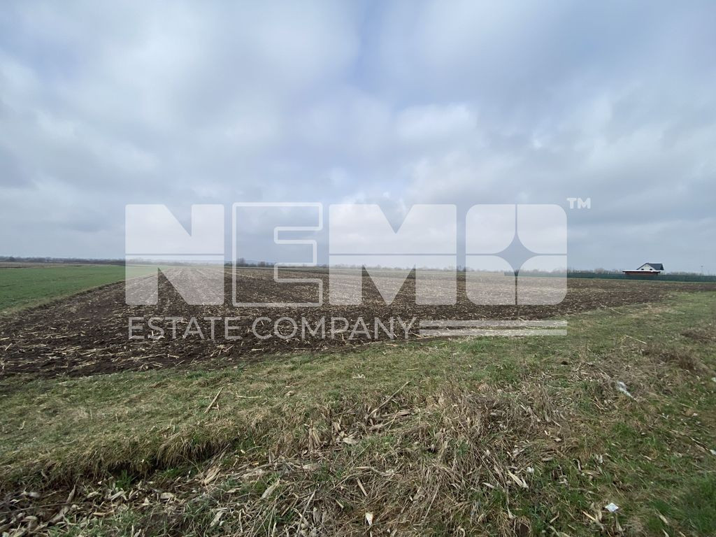 Teren Frătăuții Vechi | 70 Ari | Strada Principala