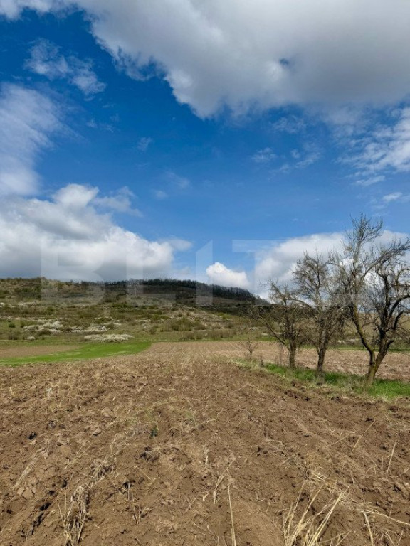 Teren intravilan de vanzare, 1500 mp, zona Șoimuș