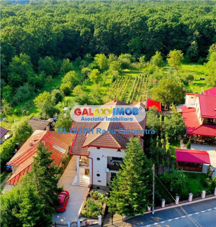 Comision 0! Vila deosebita cu iesire la padure, Sp P 1E M ,