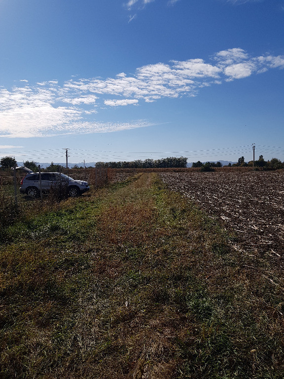 Teren 1597 mp, deschidere 47 ml, Calea Barladului