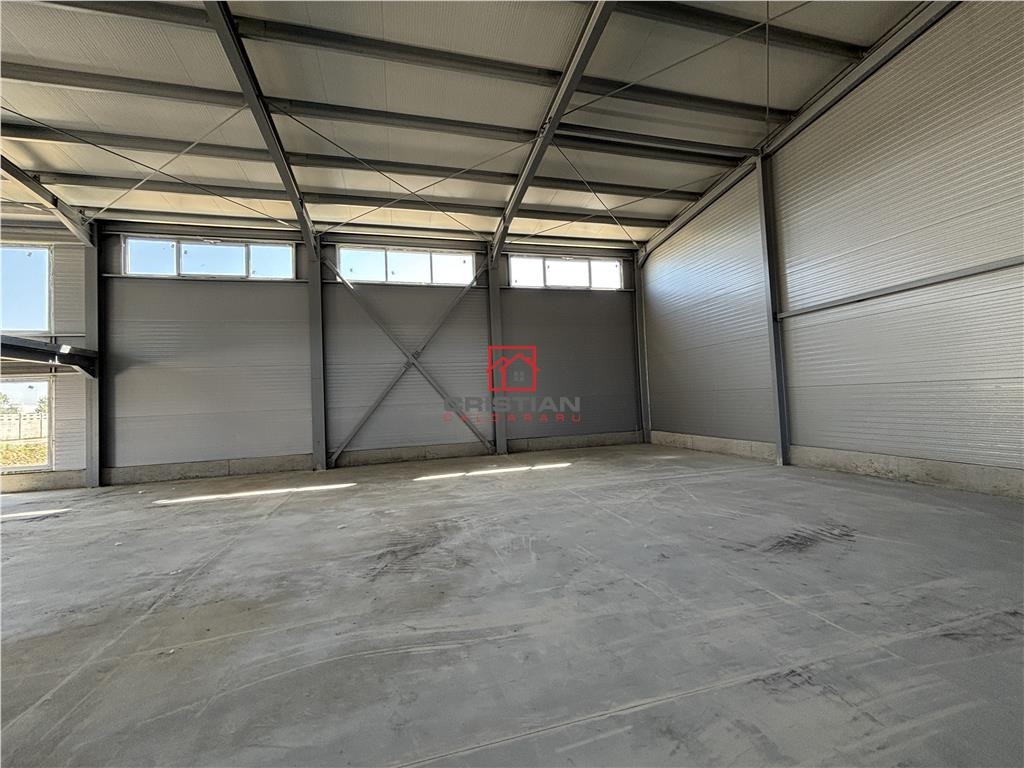 Depozit/hala/spatiu industrial Theodor Pallady - Drumul Int