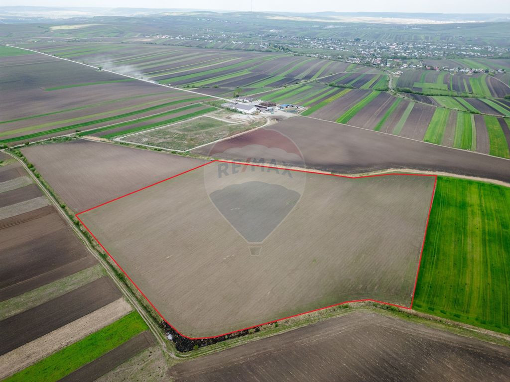 Teren 86,000mp Suceava / DN 17