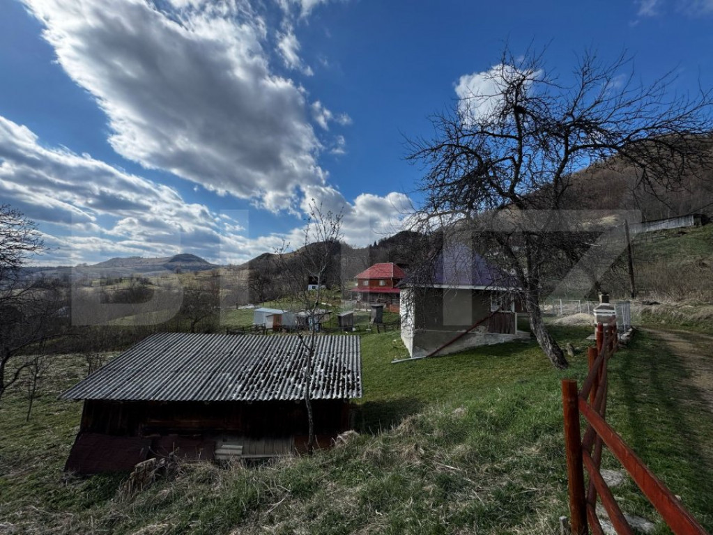 Casa la munte, teren 8324 mp, anexe, zona comuna Bucium