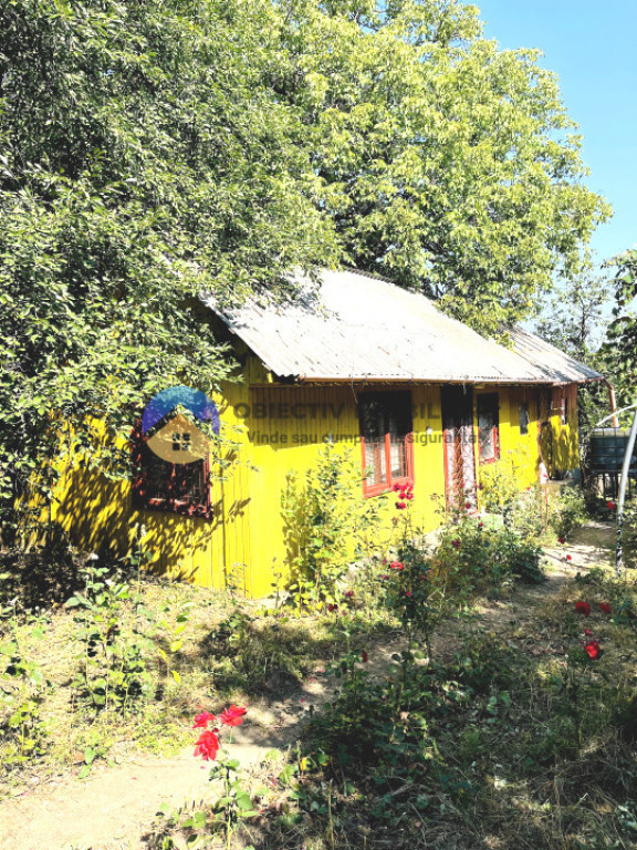 CASA de vacanta DOBRENI - SARATA