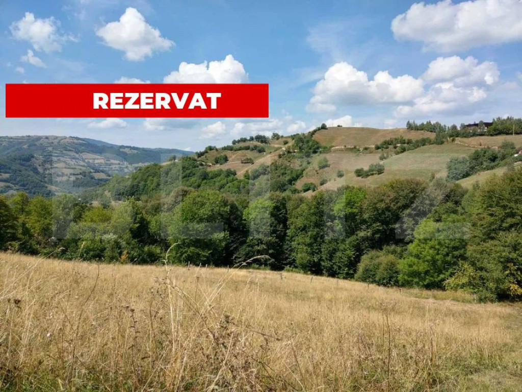 Casa de vacanta, 4 camere, teren 18000mp