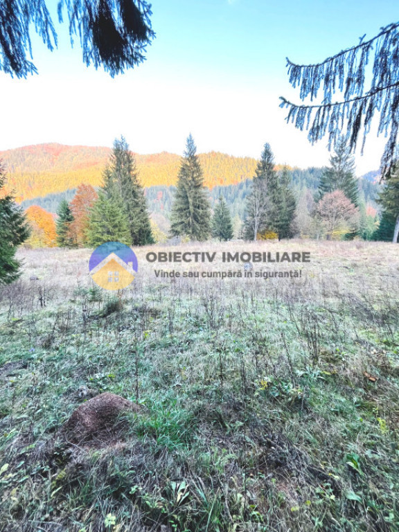 TEREN intravilan TARCAU - SCHITU