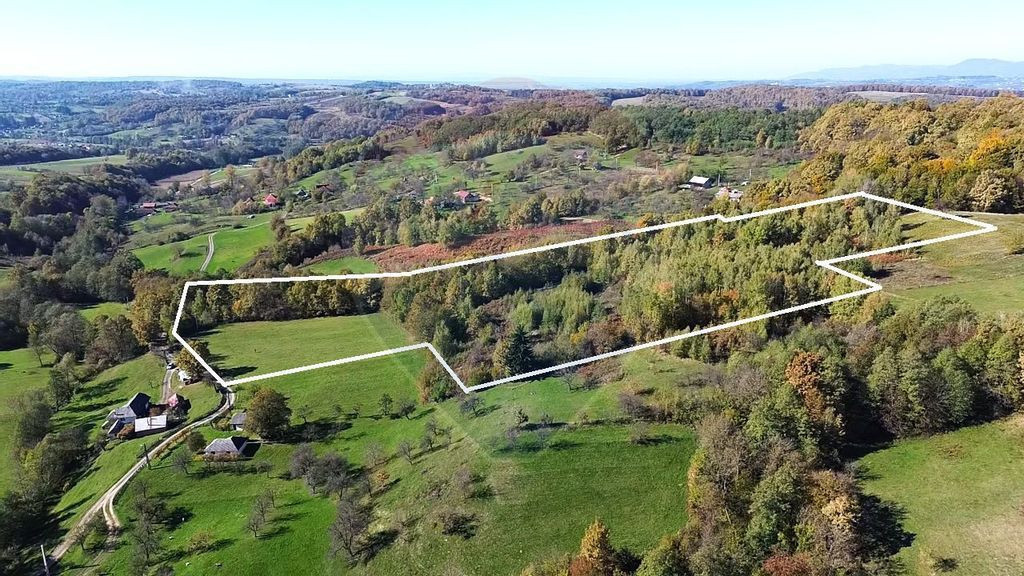 Teren de vanzare, 11.121mp in Berinta, Maramures (Comisio...