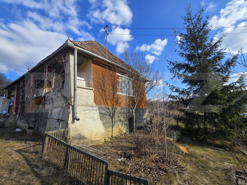 Casă cu farmec rustic, teren de 4887 mp