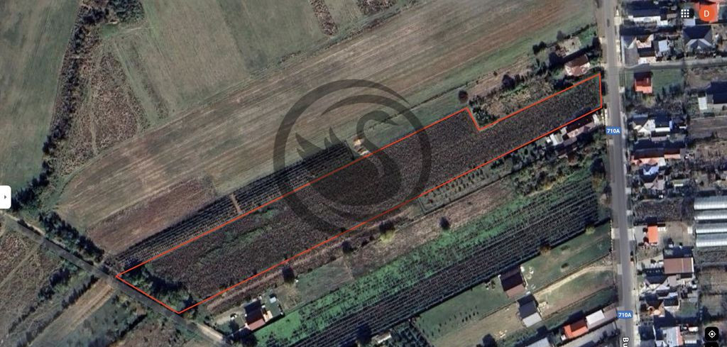 Teren intravilan de vanzare | 12.650 mp | Ghirdoveni, | C...