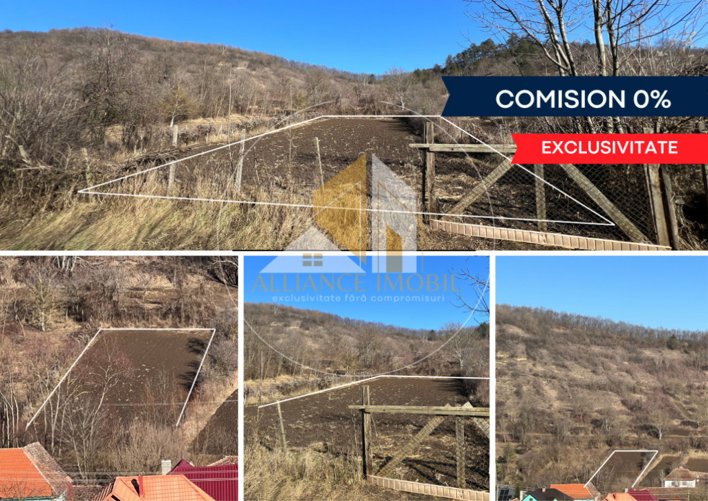 Teren intravilan de vanzare -Tonciu