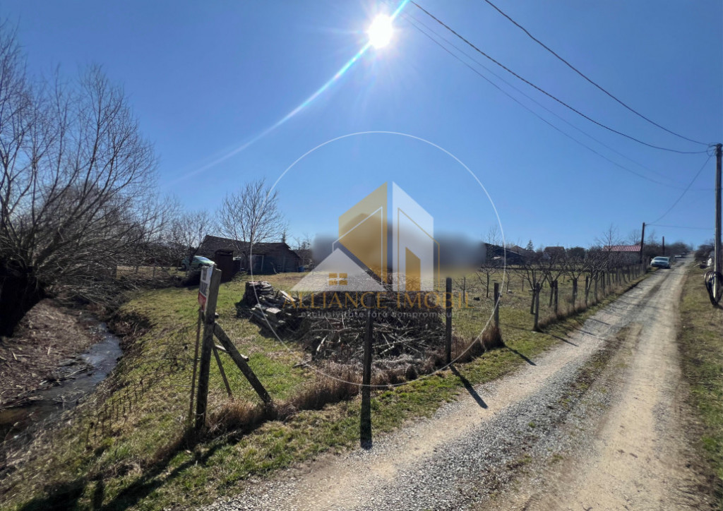 Teren intarvilan de vanzare - Valea Rusului.