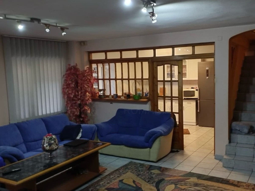 Vila l 7 Camere l Splaiul Unirii