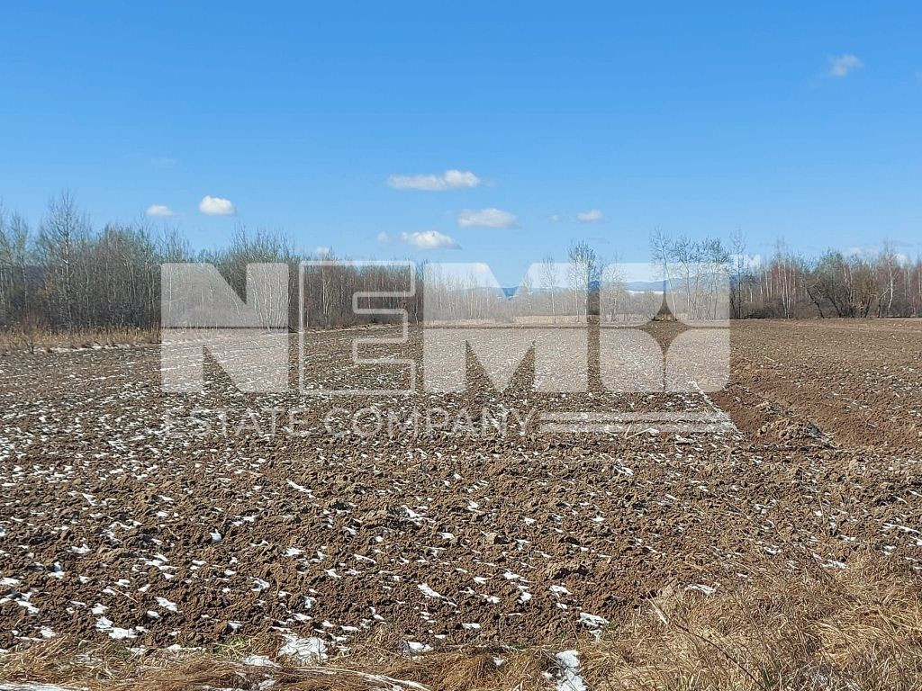 ???? DE VÂNZARE TEREN EXTRAVILAN - BILCA ????