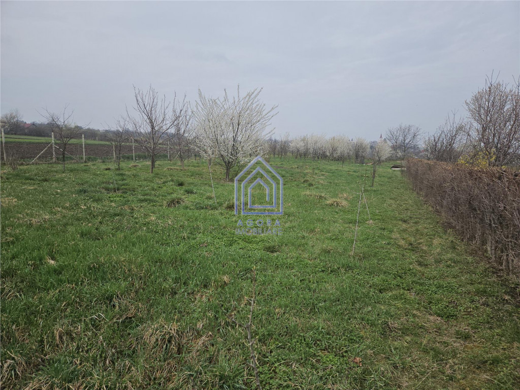 Teren intravilan, Ilisesti, la asfalt