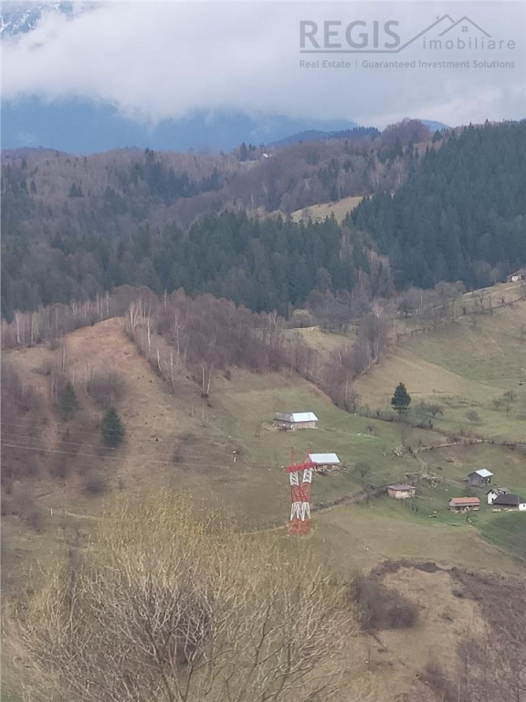 Teren, Zona de Interes Turistic-Cheile Gradistei, 8800mp