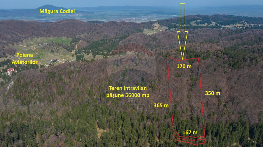 Teren intravilan, 56000 mp, Poiana Braşov