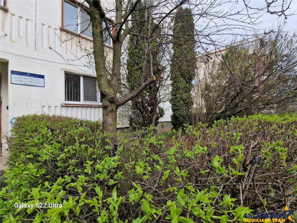 Decomandat, mobilat, accesorizat, garaj, Grigore Balan, Sfa