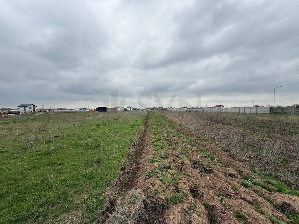 Teren I De I Clinceni