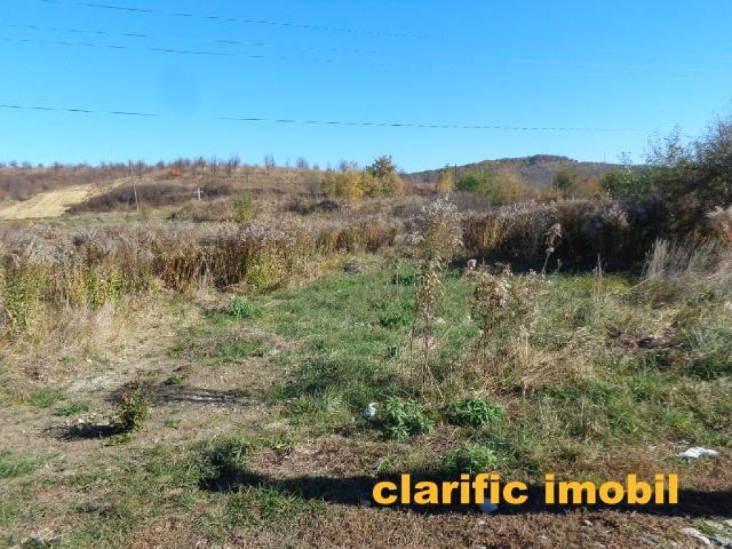 Teren 1425 mp , intravilan, str Iazului la 50 m de dr sigmirului