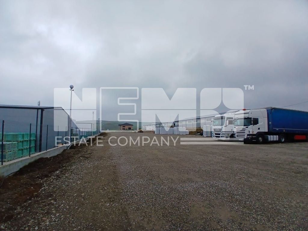 De Închiriat Teren I Scheia, Suceava I 6 EURO mp