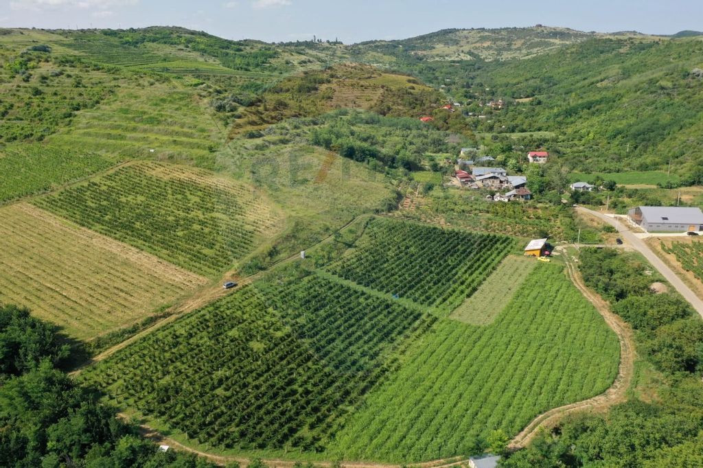 Oportunitate de investitie - Teren de vanzare I 4 ha I ce...