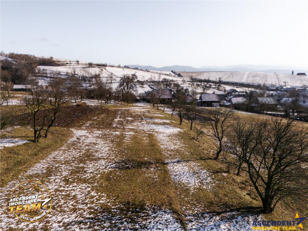 Film! Domeniu de 2.819 mp, cu casa, Mereni, Covasna.