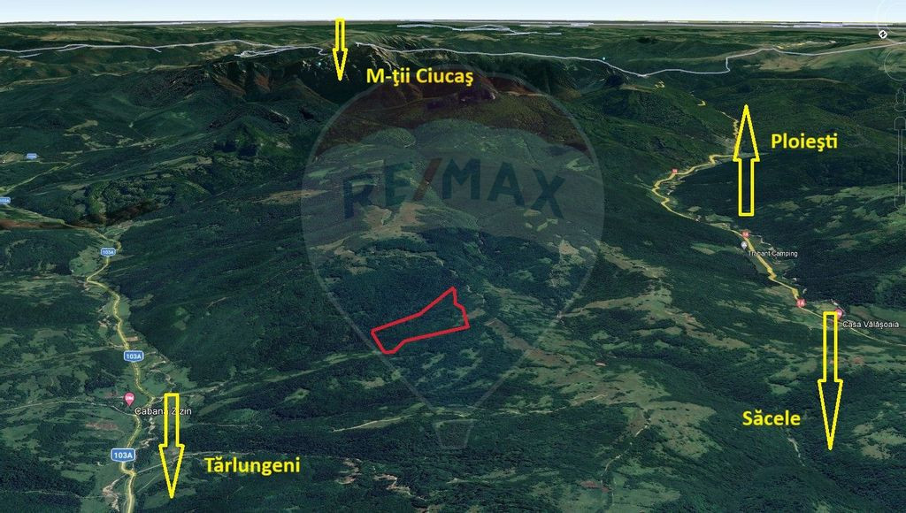 Teren Tarlungeni 14600 mp, DN1A