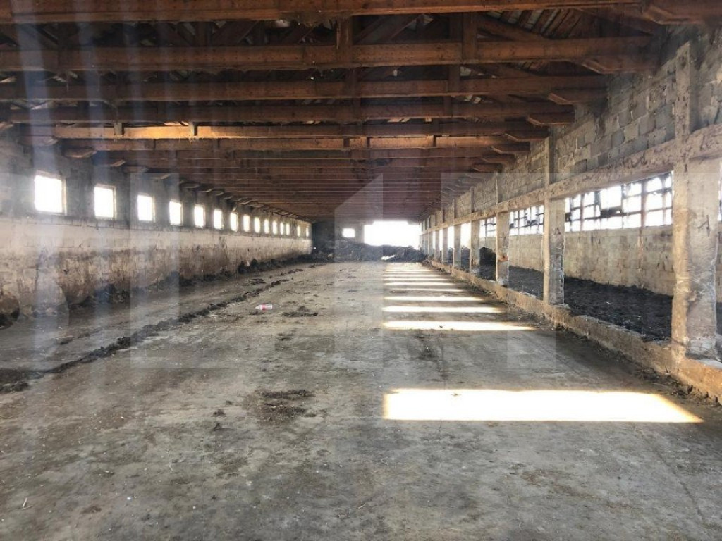 Ferma de vanzare in jud. Covasna, suprafata teren 4824 mp