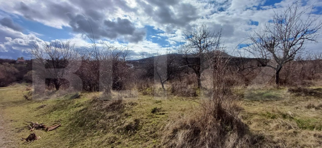 Teren extravilan 2500 mp