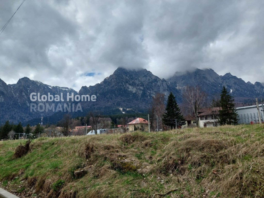 Pensiune Turistica | Busteni - Prahova - Valea Prahovei | Mo