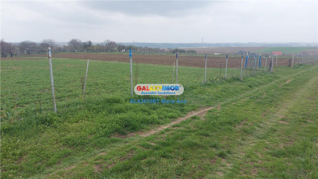 Teren 3600 mp., Manastirea Doamnei!