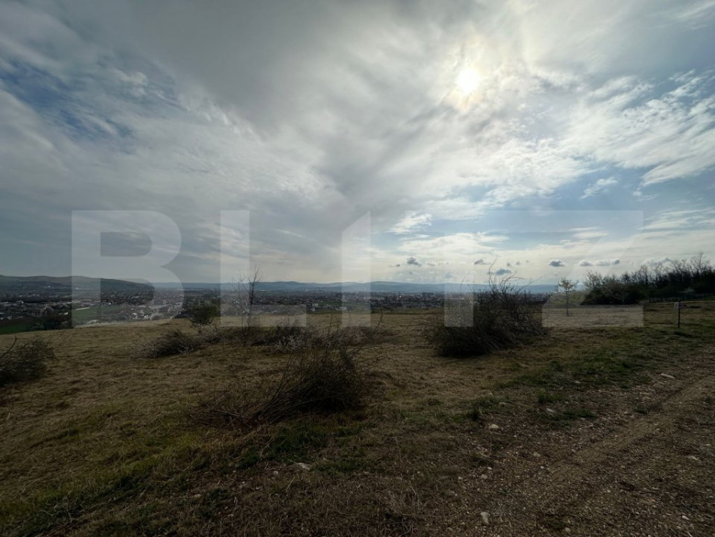 Teren intravilan, 660 mp, zona Micesti