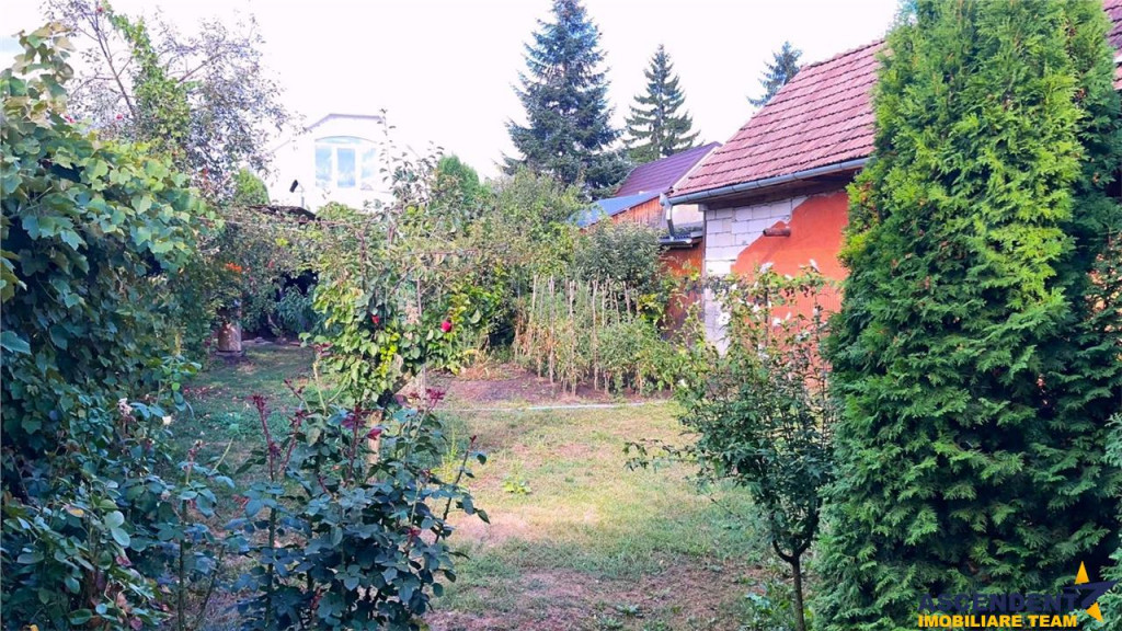 Tur LIVE! Resedinta cu 4 camere,2 bai,2 bucatarii,conditii a