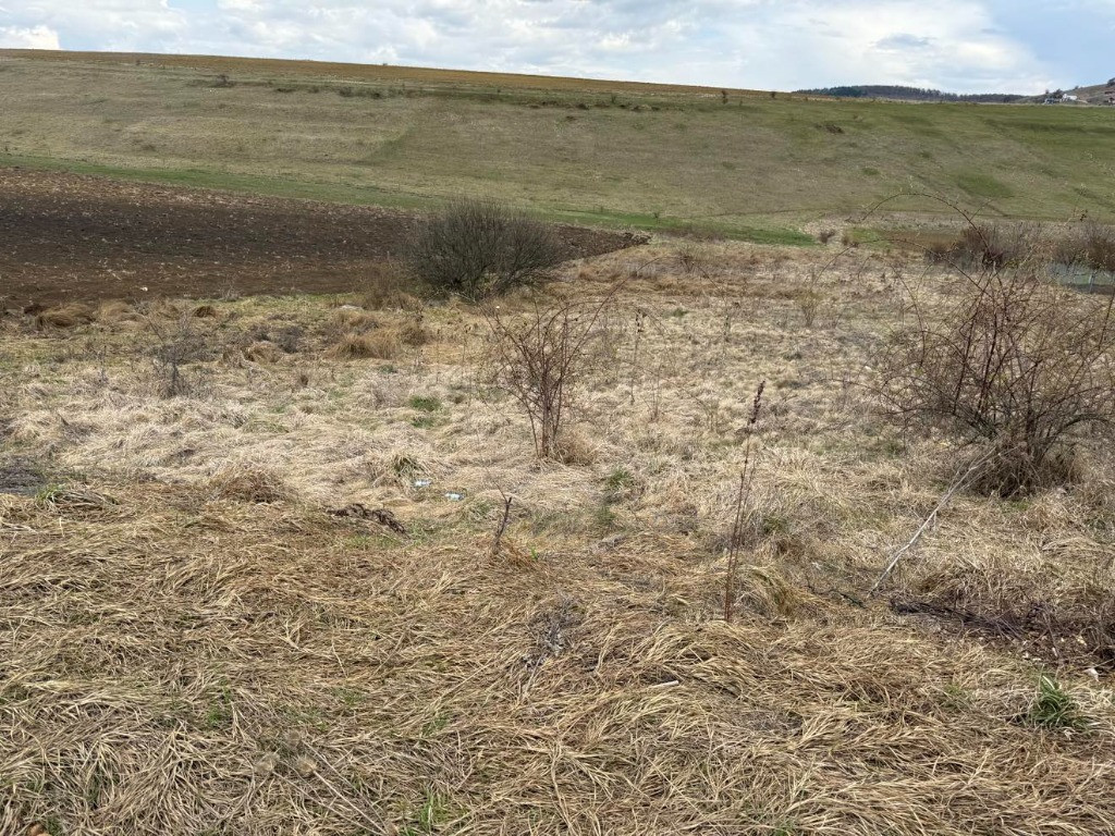 Teren intravilan in Salicea-exclusivitate!