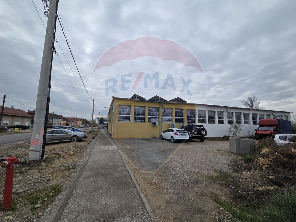 Hala de caramida 500 mp.