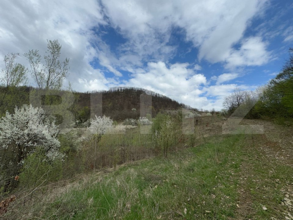 Vând 17 ha teren extravilan, Carmazanesti