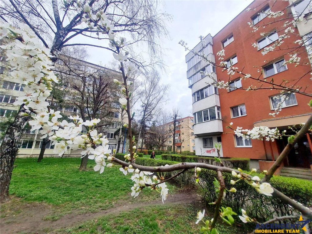 Tur LIVE!! In arie apreciata, Semicentral, decomandat, Braso