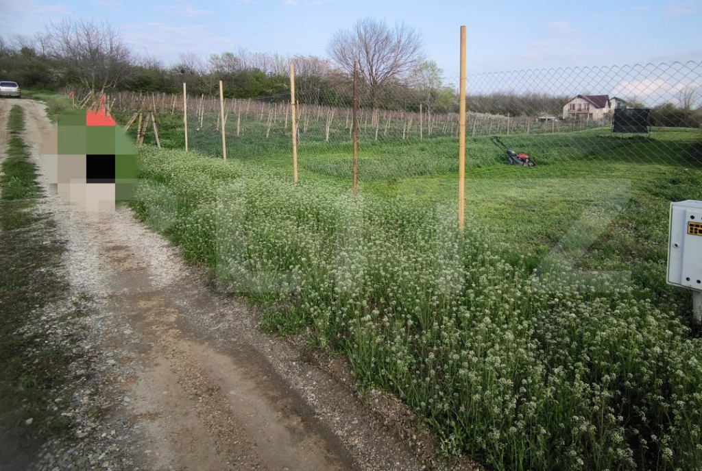 Teren intravilan 500 mp, toate utilitatiile, zona Plenedava