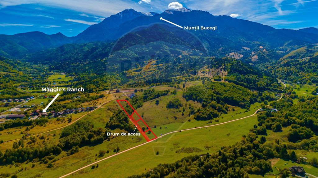 Teren Rasnov -Glajerie, Poiana Velicanului, 1447mp, la st...