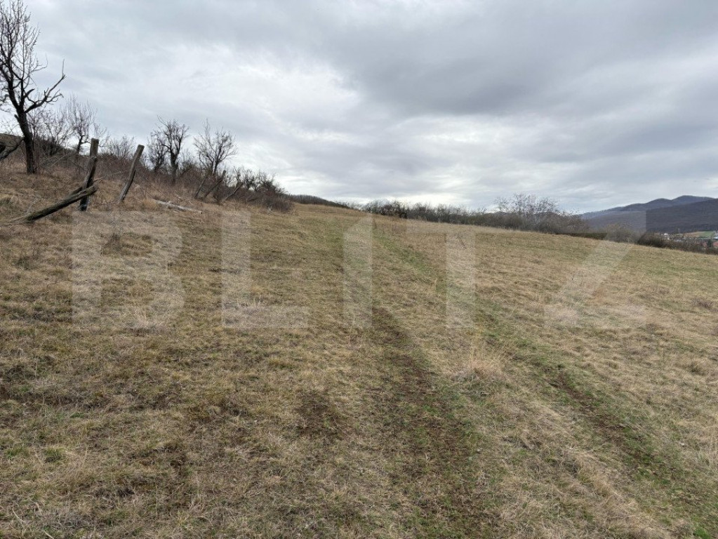 Livada zona Petresti cu panorama