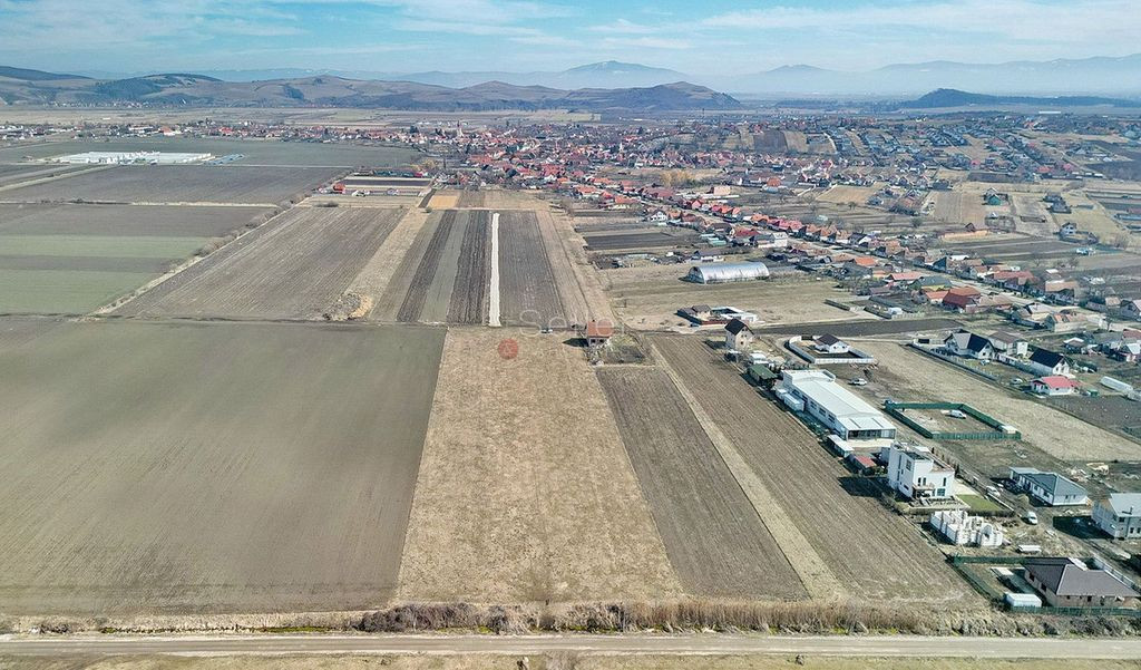 Teren Extravilan, P.U.Z. inceput