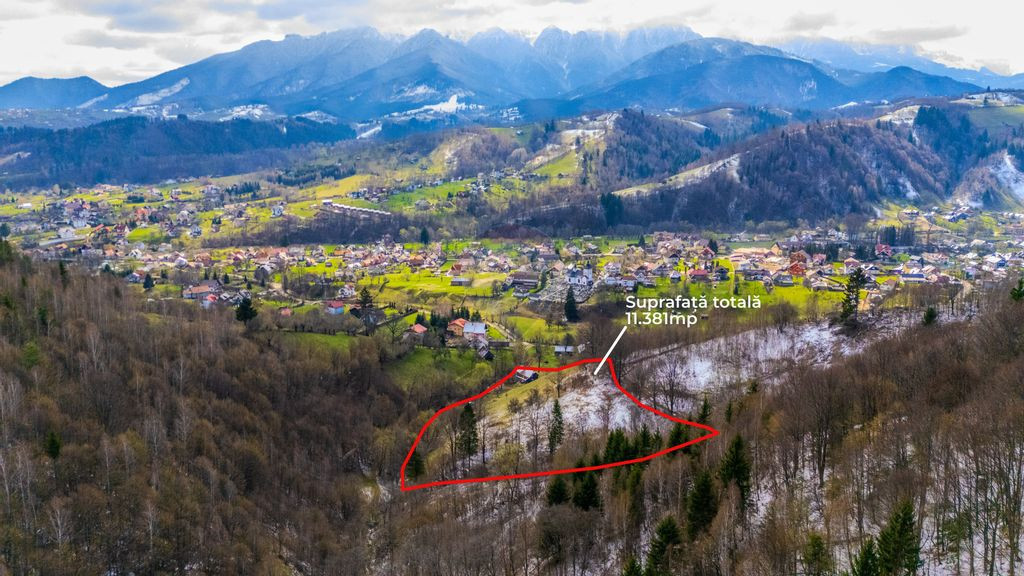 Teren 11,381 mp Moieciu de Jos / Strada Sbârcioara