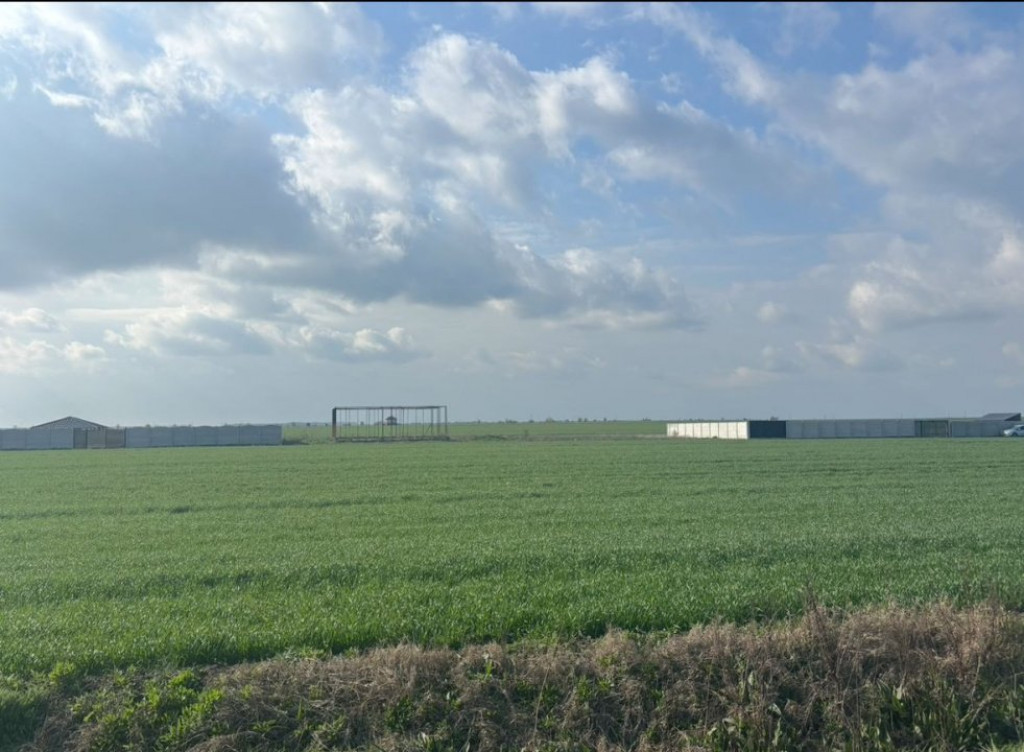 Teren intravilan Pielesti, 500 mp