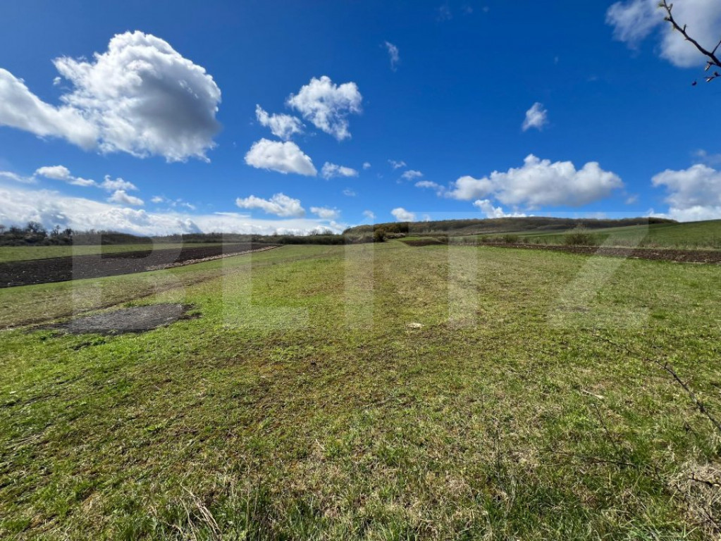 Teren extravilan de vânzare – 25 ari, panorama superbă,