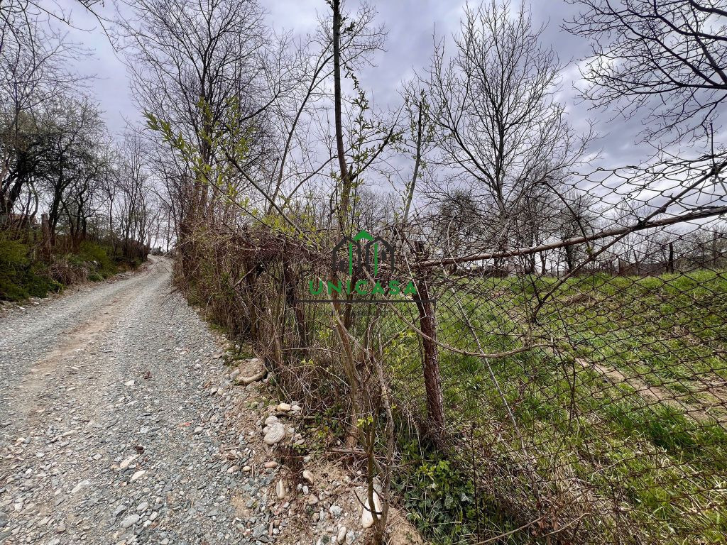 Teren 1260 mp/Pausesti Maglasi/Intravilan